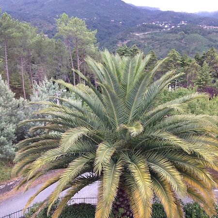 Casa Dos Cabecinhos Διαμέρισμα Paradamonte Εξωτερικό φωτογραφία